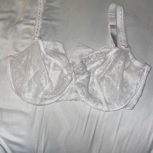 36 G Paramour Bra